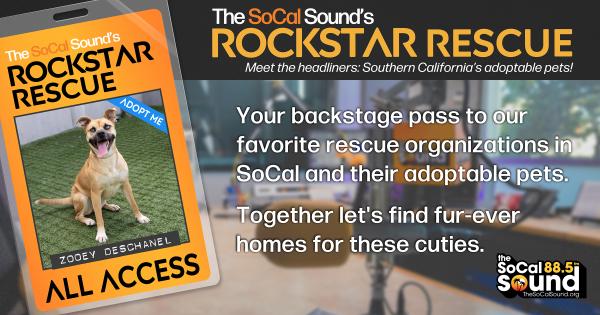 KCSN RockstarRescue PotW 021126 CreateOutlines FACEBOOK 1200x631