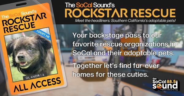 KCSN RockstarRescue PotW 122925 CreateOutlines FACEBOOK 1200x631